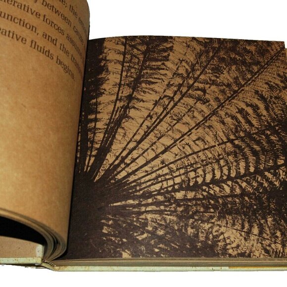 Raja Yoga Master Subramuniya  Rishi Collection Comstock House 1973 HC 5th ed - Picture 6 of 8